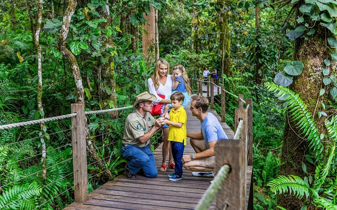 From Cairns: Scenic Train with Gold Class & Skyrail Kuranda Tour with Transfers Image 3