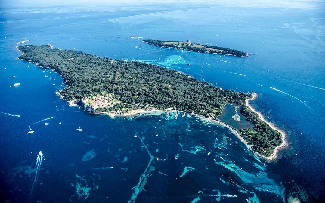 From Cannes: Round-Trip Ferry to Sainte-Marguerite, Lérins Islands
 Image 2