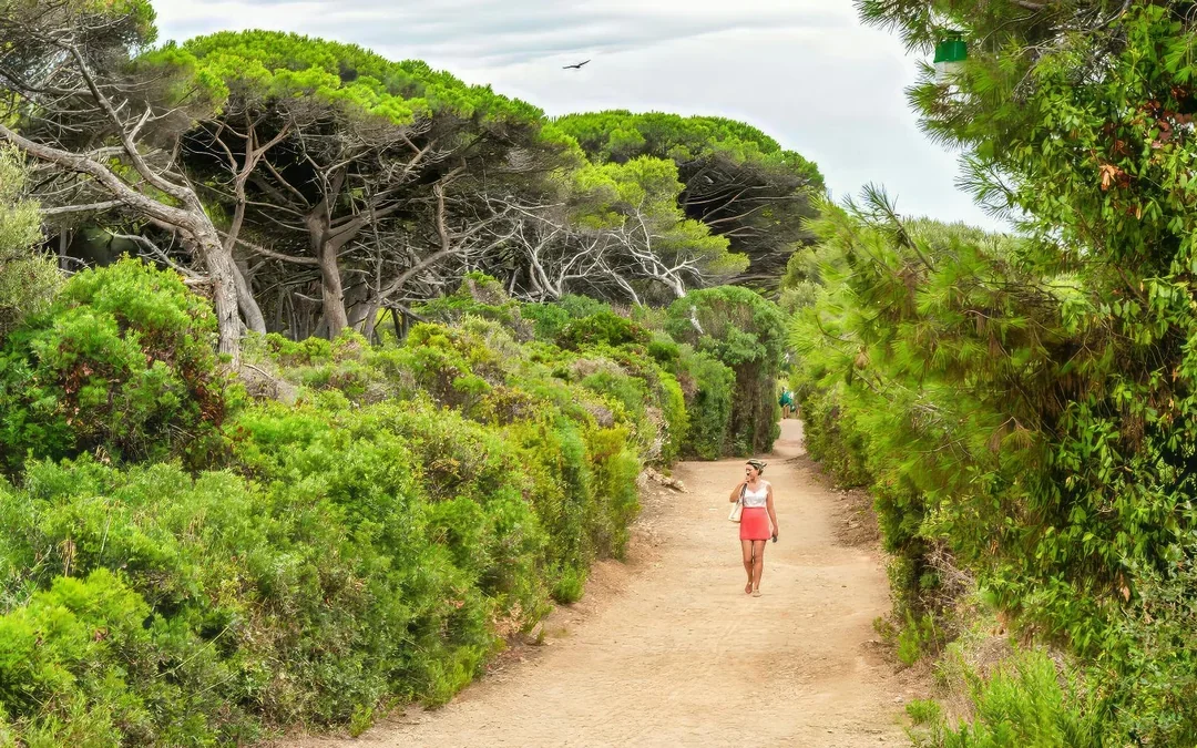 From Cannes: Round-Trip Ferry to Sainte-Marguerite, Lérins Islands
 Image 5