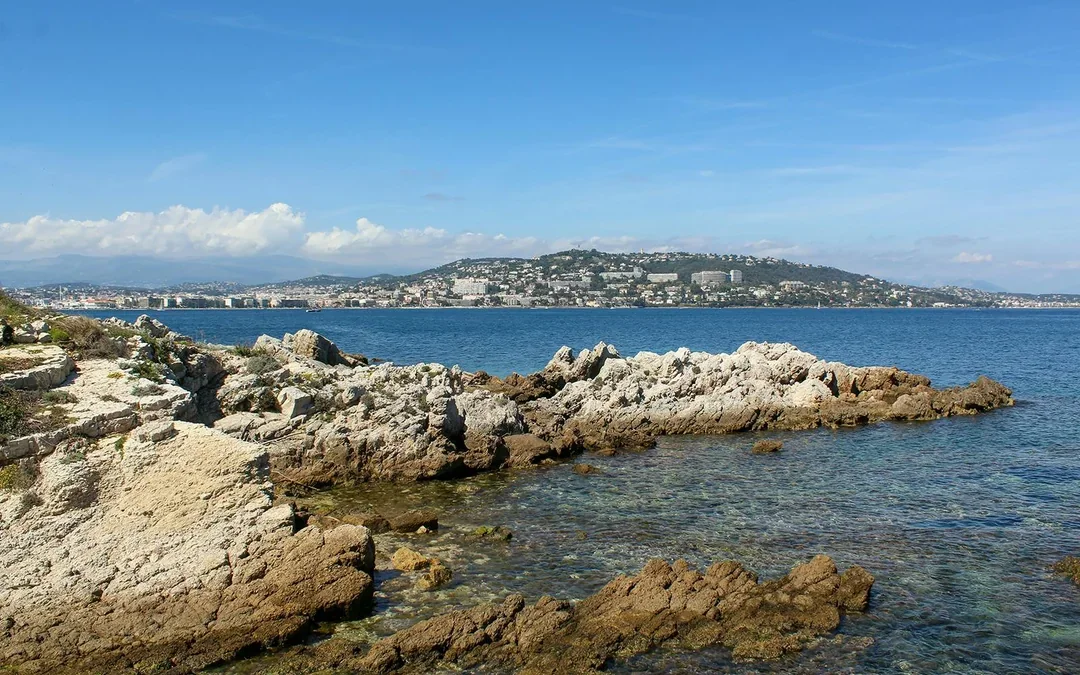 From Cannes: Round-Trip Ferry to Sainte-Marguerite, Lérins Islands
 Image 7