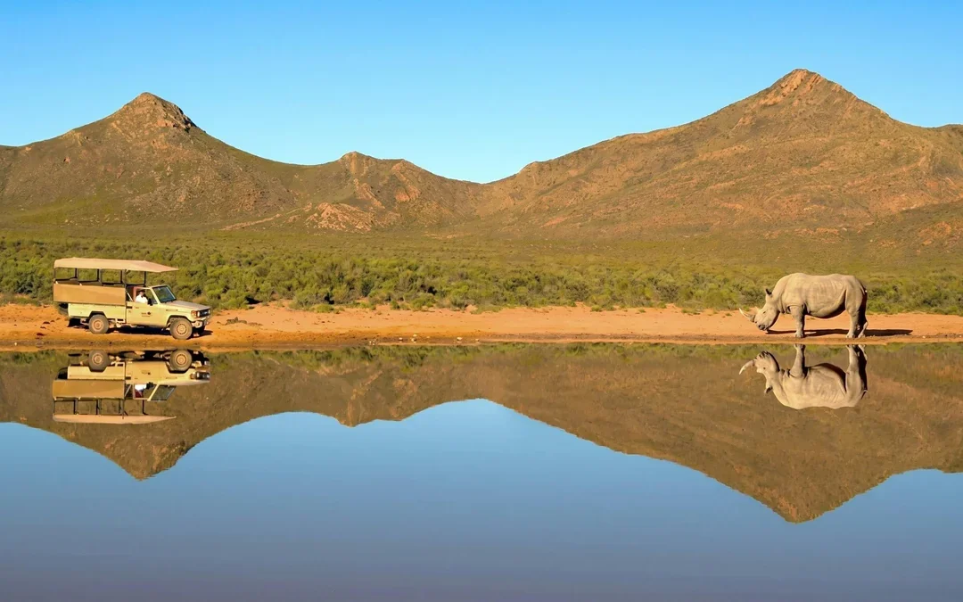 From Cape Town: Full-Day Big Five Safari Experience with Lunch at Aquila Game Reserve Image 5
