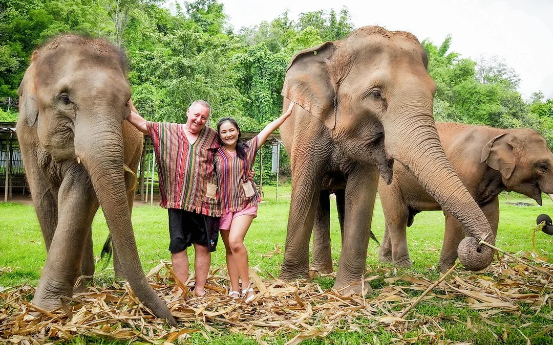 From Chiang Mai: Overnight Stay Package (2D1N) at Elephant Jungle Sanctuary with Hotel Transfers Image 1