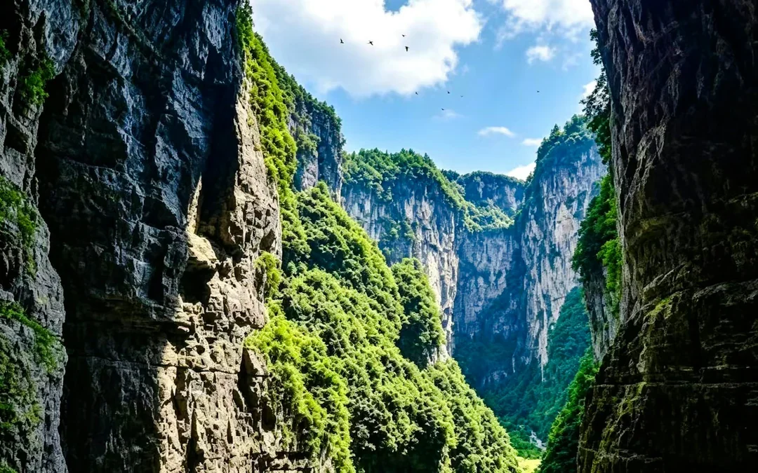 From Chongqing: Private Wulong Three Natural Bridges, Fairy Mountain & Wujiang River Gallery Tour Image 3