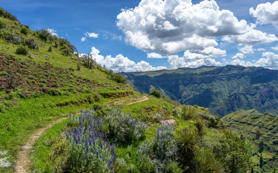 From Cusco: Full-Day Guided Hiking Tour to Waqrapukara Image 3