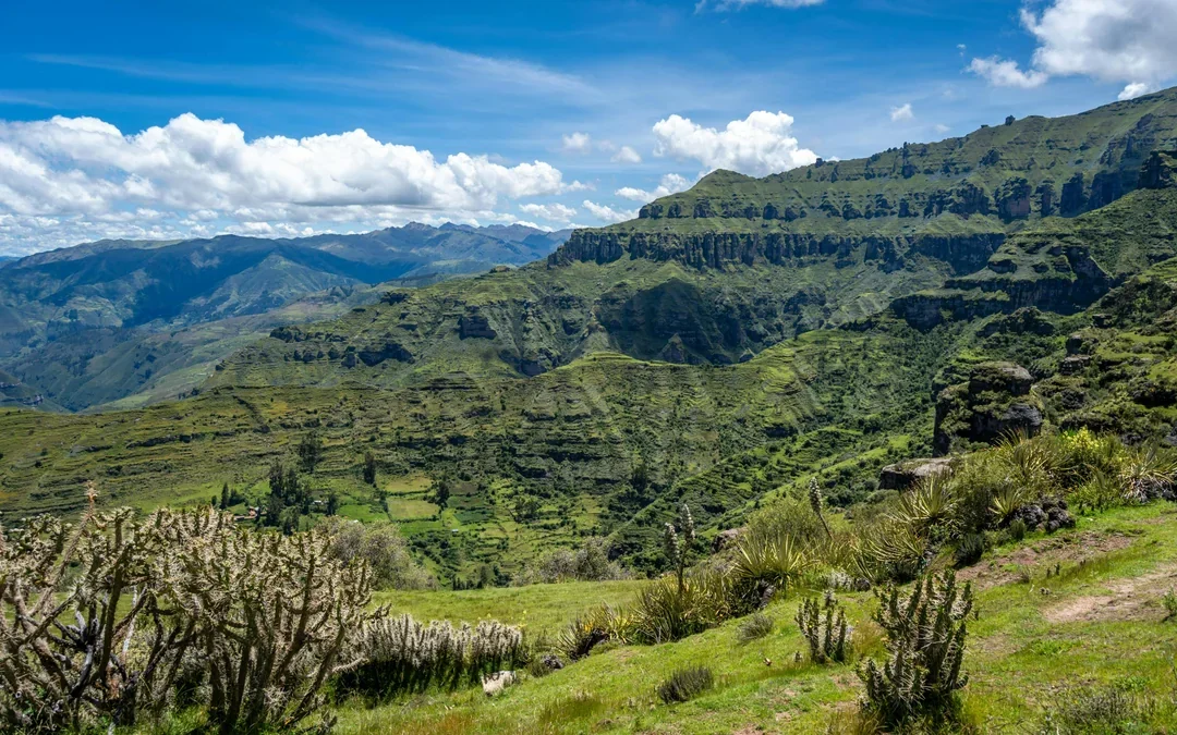 From Cusco: Full-Day Guided Hiking Tour to Waqrapukara Image 8