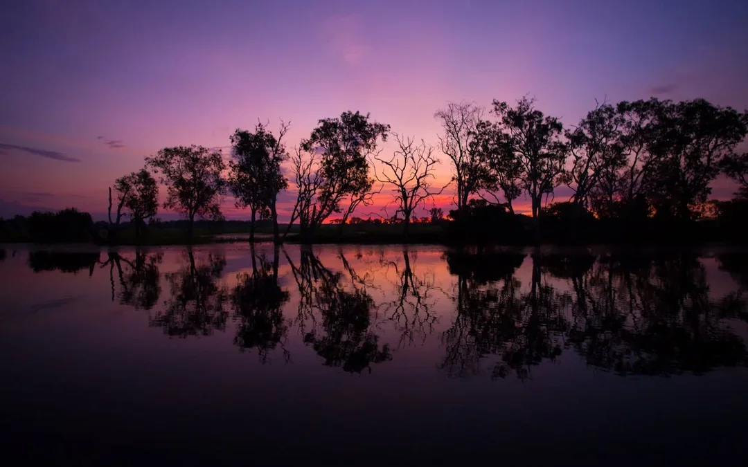From Darwin: 3 Day Kakadu + Litchfield 4WD Adventure Camping Tour Image 5