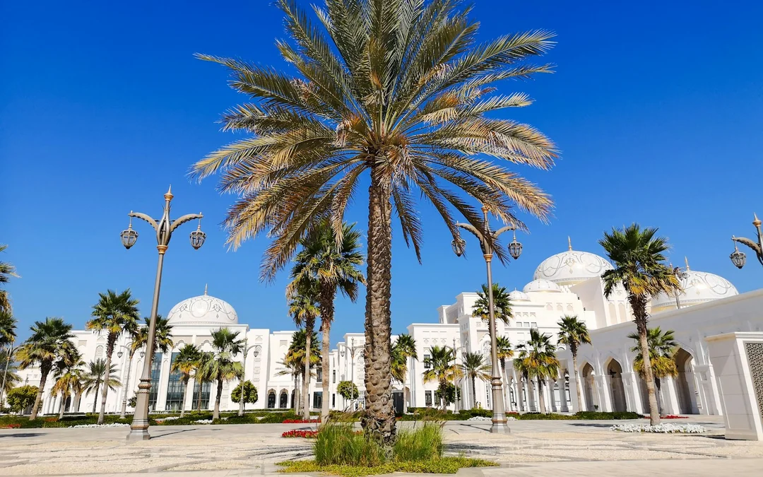From Dubai: Abu Dhabi Heritage & Culture Tour with Sheikh Zayed Grand Mosque & Souq Image 4