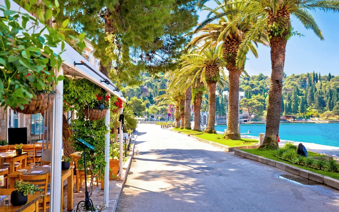 From Dubrovnik: Cavtat & Konavle Valley Tour with Local Lunch Image 4
