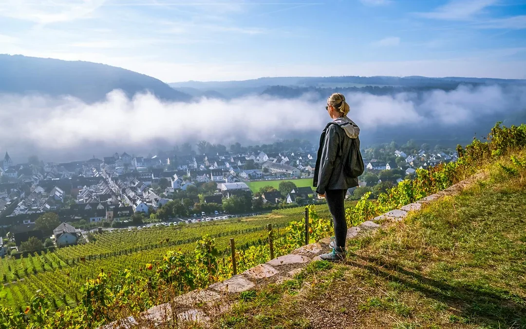 From Frankfurt: Rhine Valley Day Trip Image 2