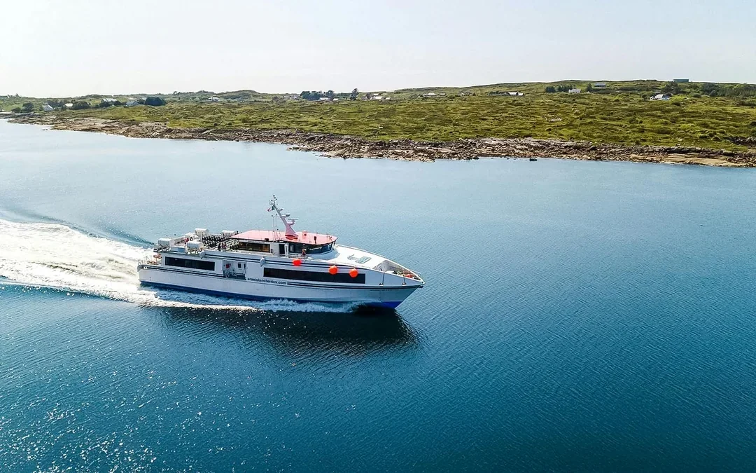 From Galway: Cliffs, Aran Islands & Connemara Full-Day Tour with a Small Group & Hotel Pick-Up Image 3