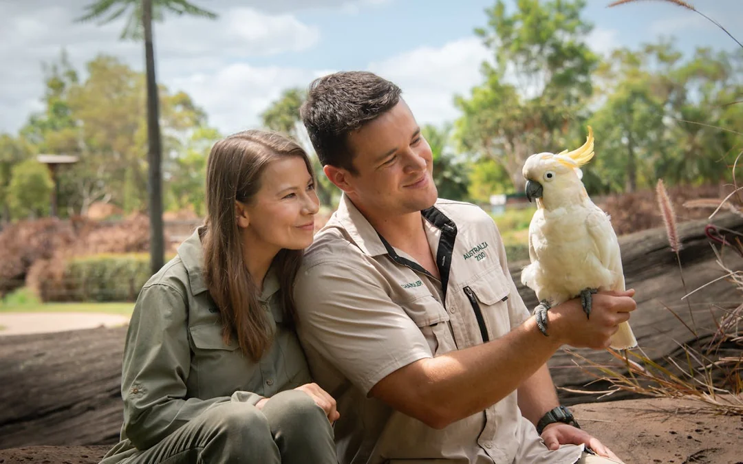 From Gold Coast Australia Zoo Transfer & Entry Adventure Image 3