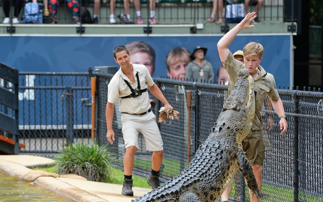 From Gold Coast Australia Zoo Transfer & Entry Adventure Image 6