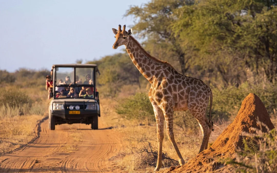 From Hazyview/Hoedspruit: Ultimate Full-Day Kruger Park Safari Drive Image 1