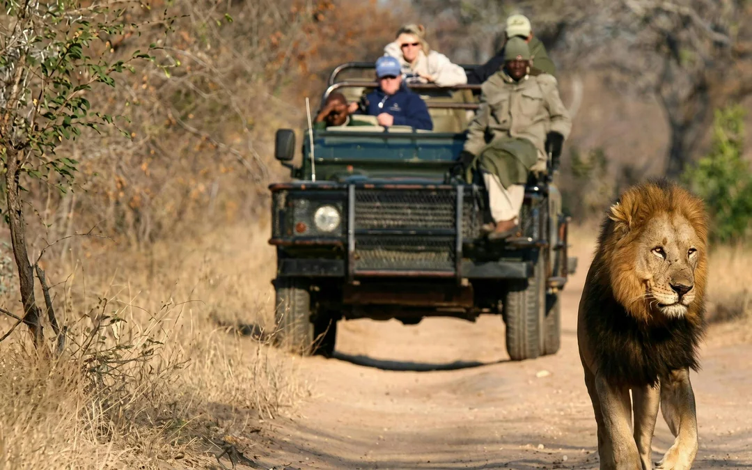 From Hazyview/Hoedspruit: Ultimate Full-Day Kruger Park Safari Drive Image 3