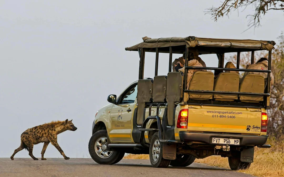 From Hazyview: Ultimate Private Full-Day Kruger Park Safari Drive Image 3