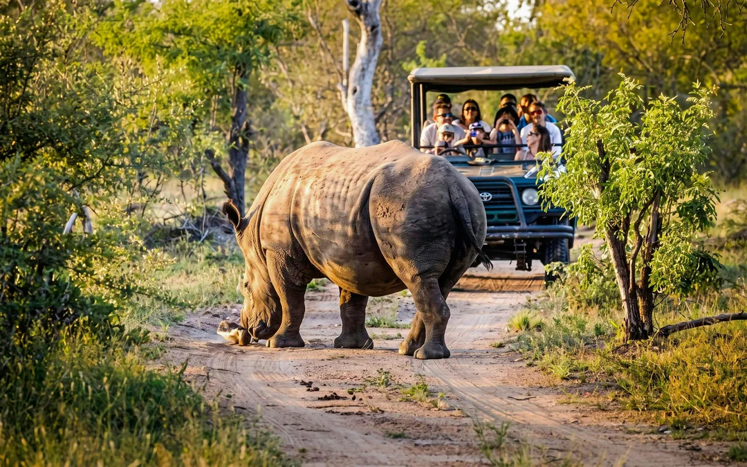 From Hazyview: Ultimate Private Full-Day Kruger Park Safari Drive Image 4