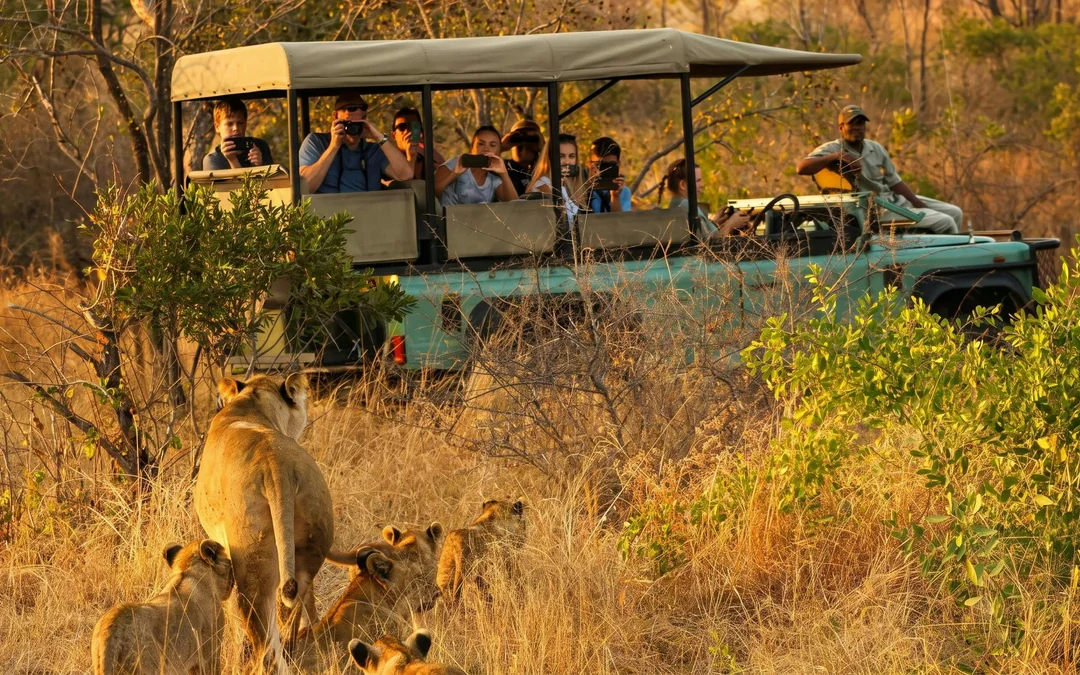 From Hazyview: Ultimate Private Full-Day Kruger Park Safari Drive Image 5