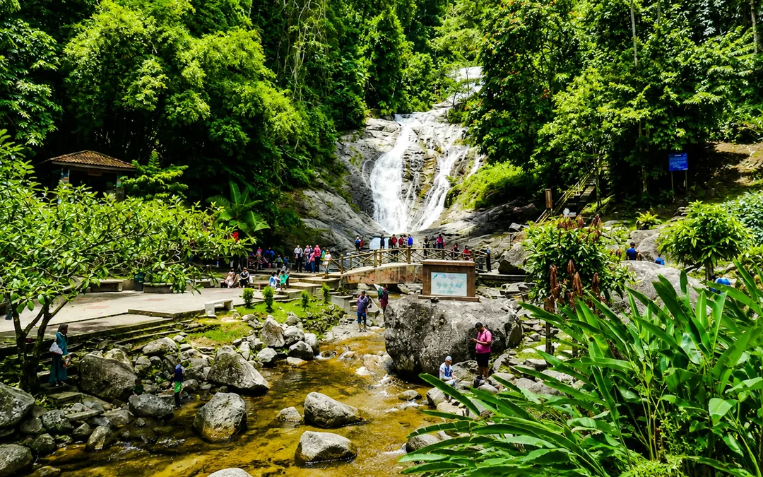 From Kuala Lumpur: Cameron Highlands Tour Image 3