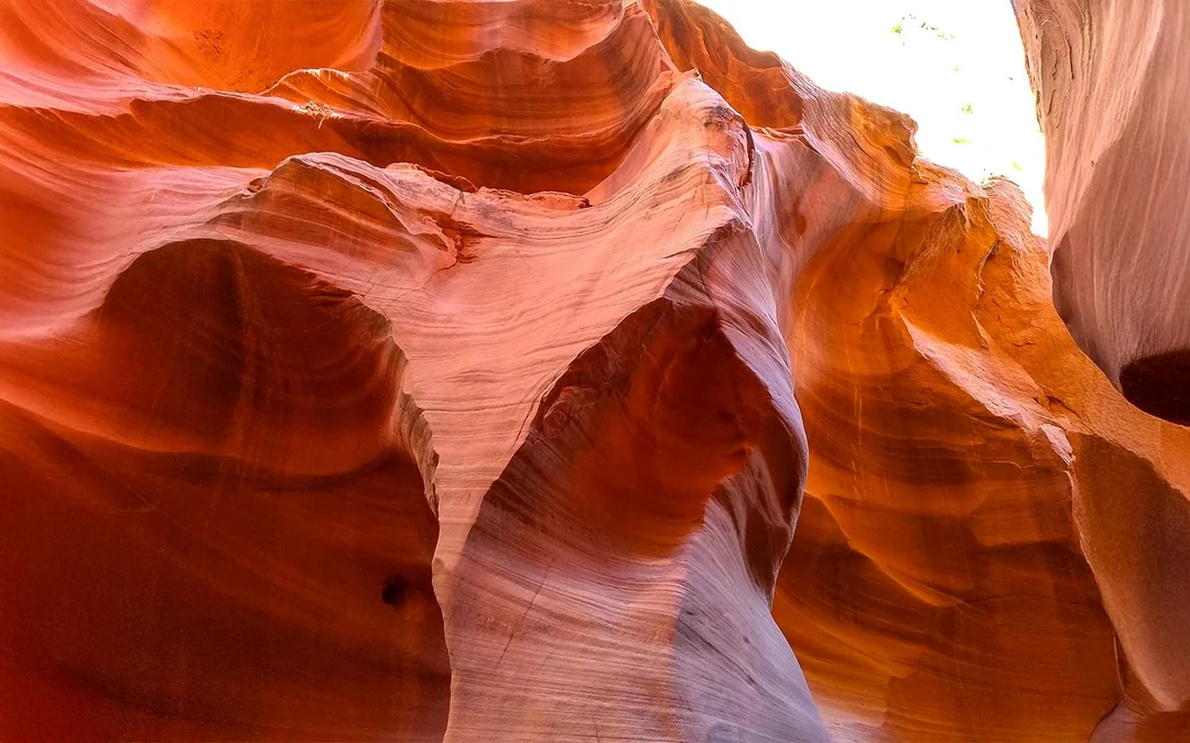 From Las Vegas: Lower Antelope Canyon & Horseshoe Bend Tour with Lunch Image 3