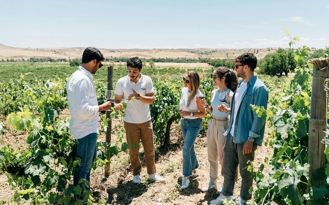 From Madrid: Toledo Day Trip with Vineyard Experience Image 6