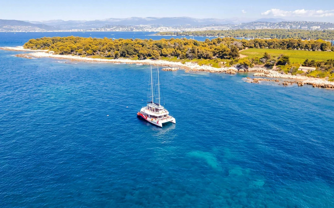 From Marina Bay of Angels: Catamaran Cruise to Lérins Island with Snorkeling Image 11