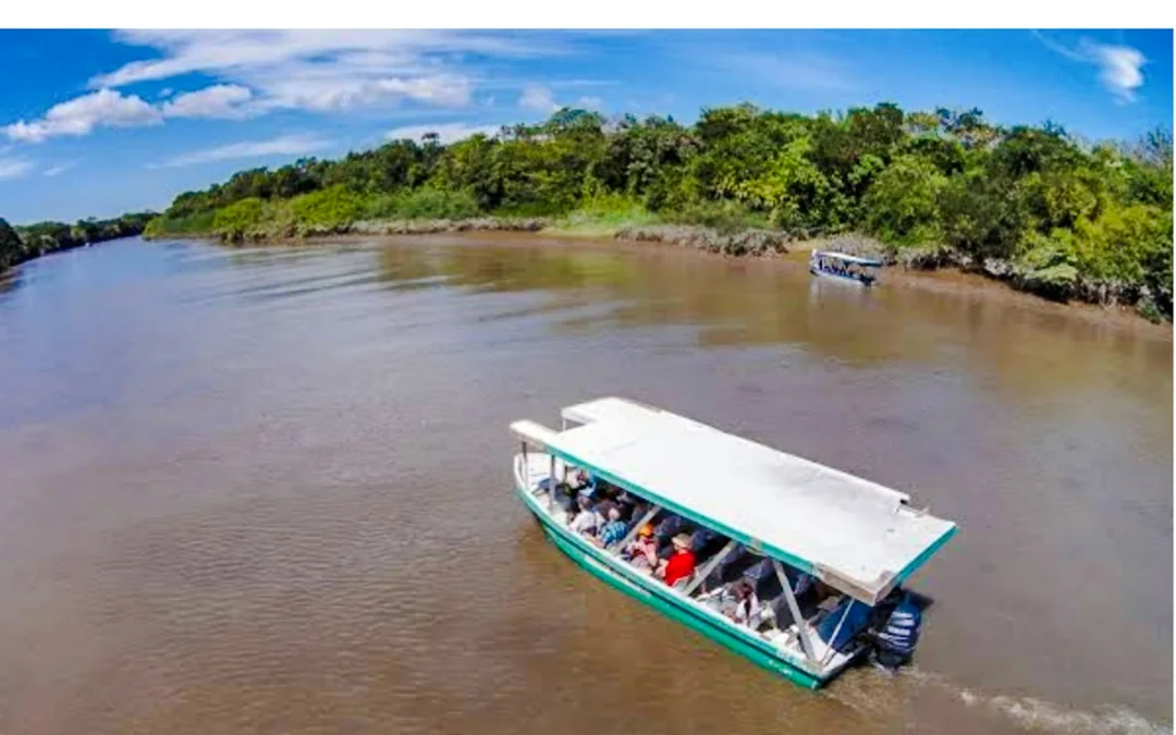 From Monteverde: Palo Verde National Park Boat Safari Tour with Lunch Image 3