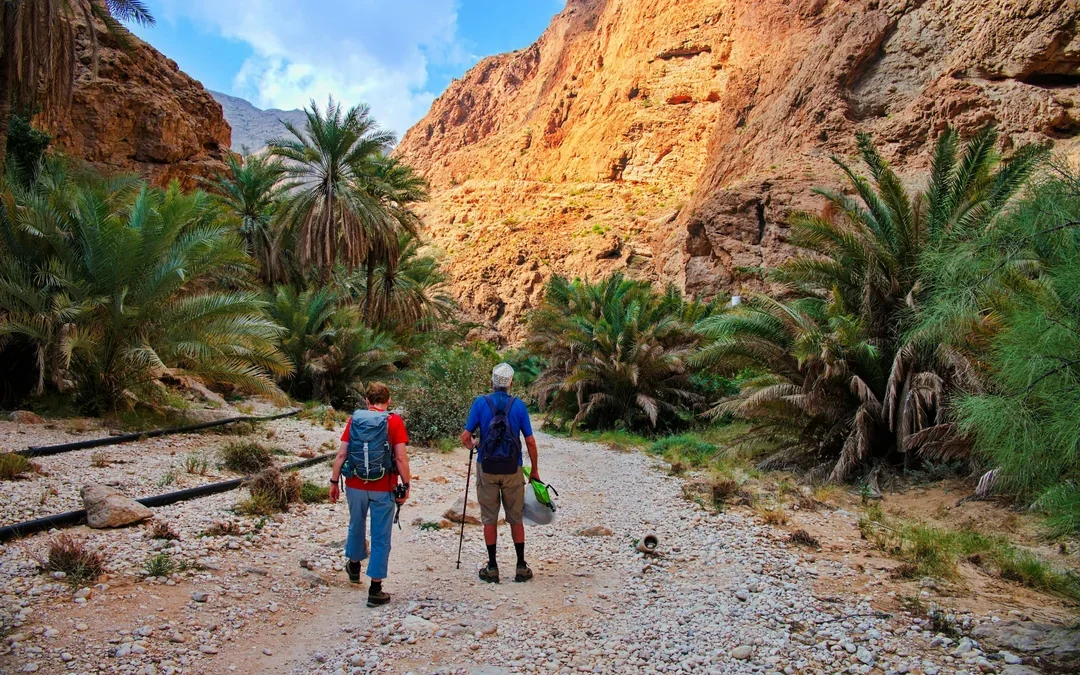 From Muscat: Full-Day Tour of Wadi Shab & Bimmah Sinkhole Image 5