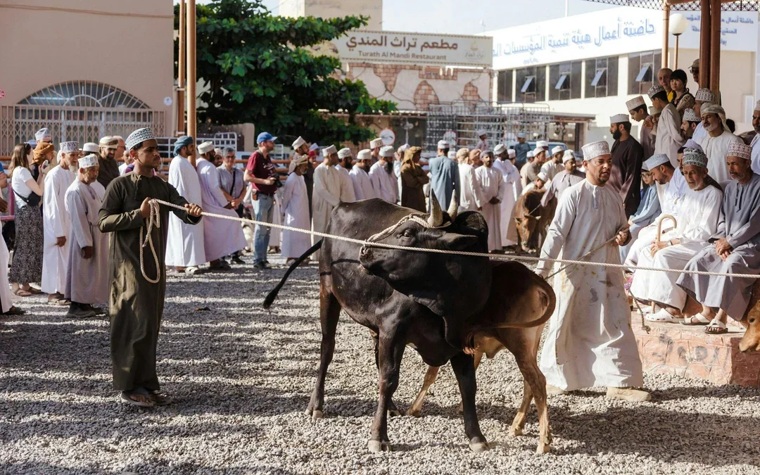 From Muscat: Nizwa and Oman's Historical Gems Tour Image 4