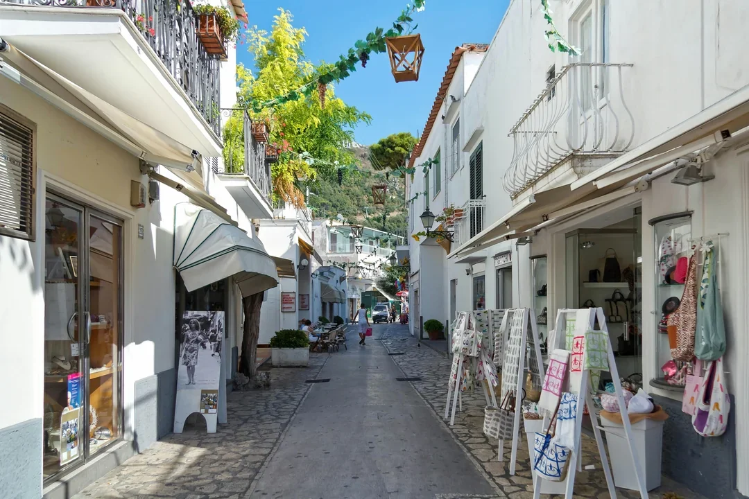 From Naples: Capri & Anacapri Small-Group Day Trip with Hydrofoil Transfers Image 5