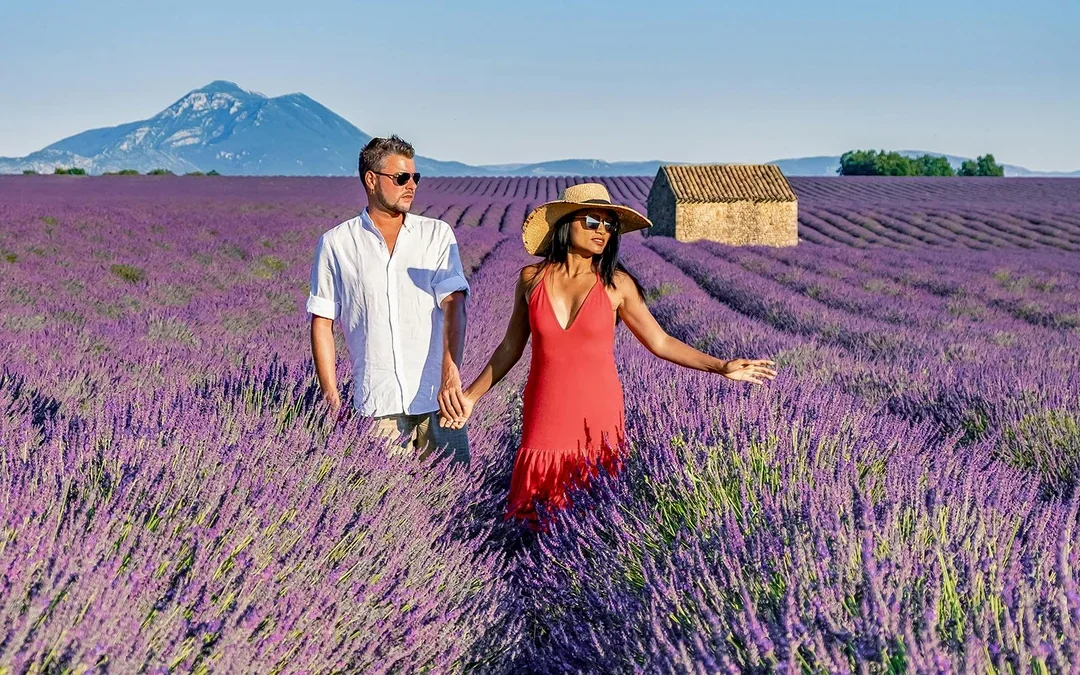 From Nice: Full-Day Provence and Lavender Tour Image 5