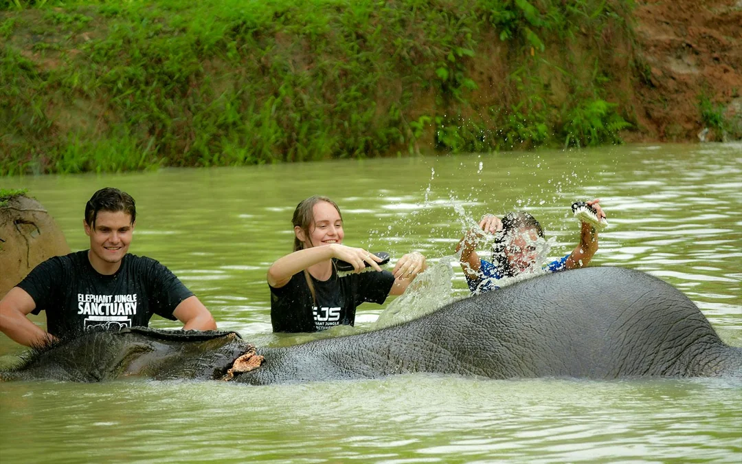 From Phuket: Bamboo Rafting, ATV Ride with Elephant Trekking & Bathing Experience Image 5