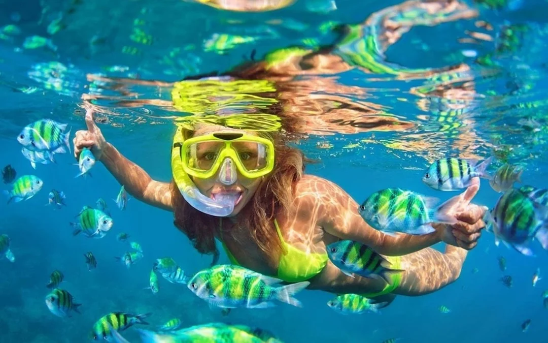 From Phuket: Phi Phi & Bamboo Island Speedboat Tour with Royal Phuket Marina Departure, Snorkeling & Beachfront Lunch Image 1