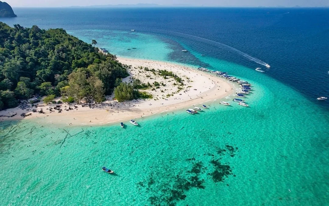 From Phuket: Phi Phi & Bamboo Island Speedboat Tour with Royal Phuket Marina Departure, Snorkeling & Beachfront Lunch Image 5