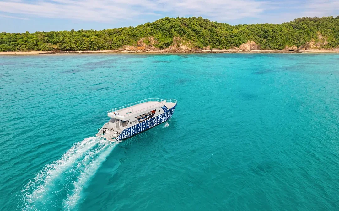 From Phuket: Phi Phi Island & Maya Bay Sunset Tour by Whale Shark Boat Image 3