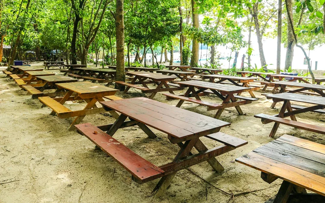From Phuket: Surin Islands Speedboat Tour with Breakfast, Lunch & Transfers
 Image 12