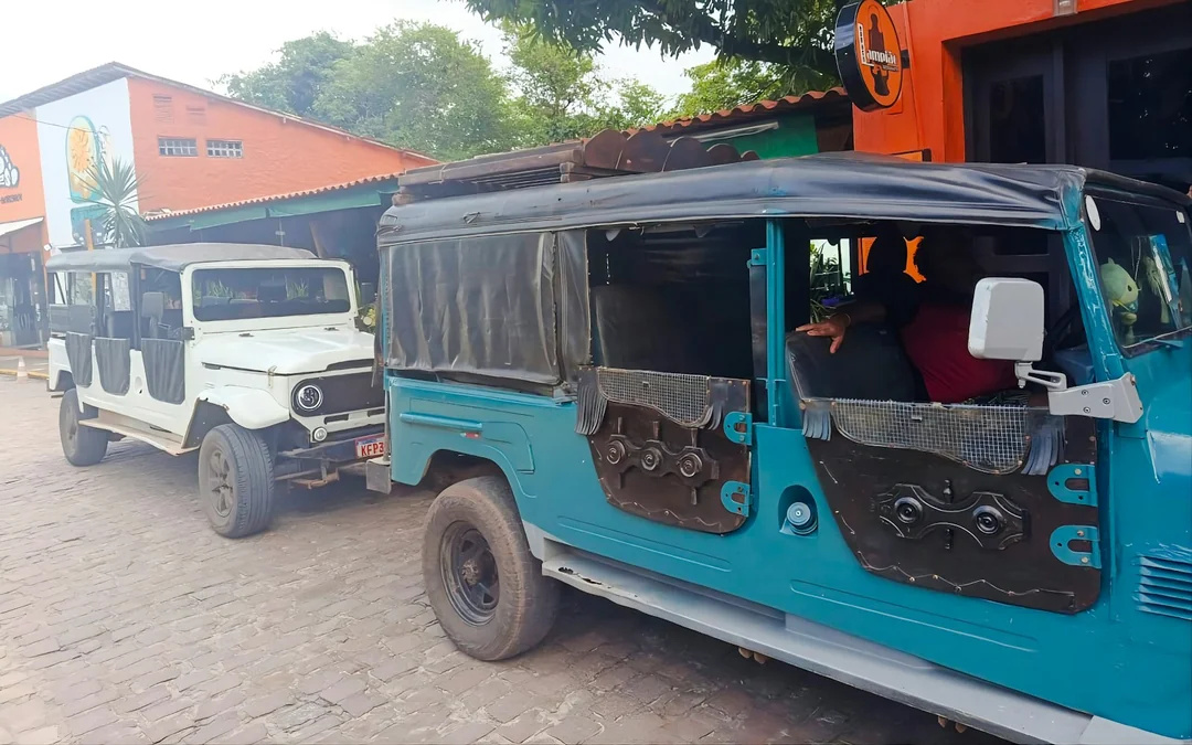 From Pipa: 4x4 Jeep Tour of Beaches, Cliffs and Dunes with Sandboarding Image 4