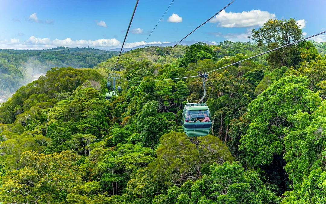 From Port Douglas: Scenic Train & Skyrail Kuranda Tour with Transfers Image 1