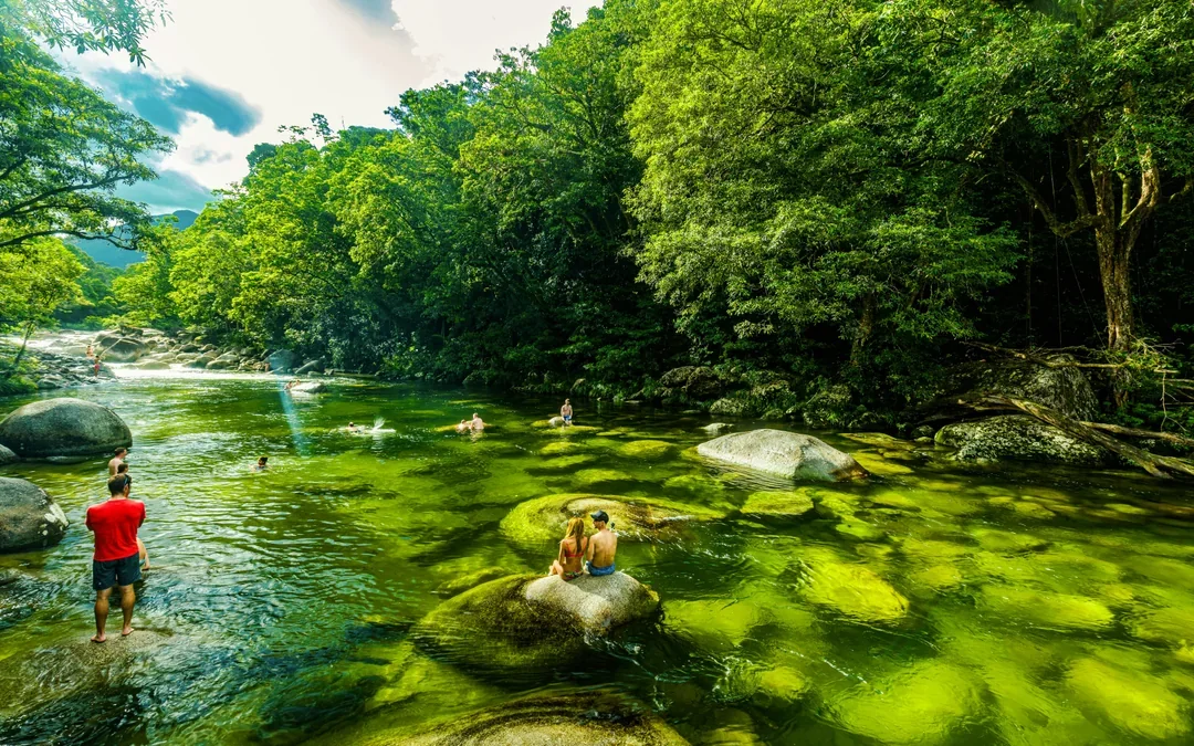 From Port Douglas: Small Group Half Day Tour of Daintree & Mossman Gorge with River Cruise & Picnic Lunch
 Image 2