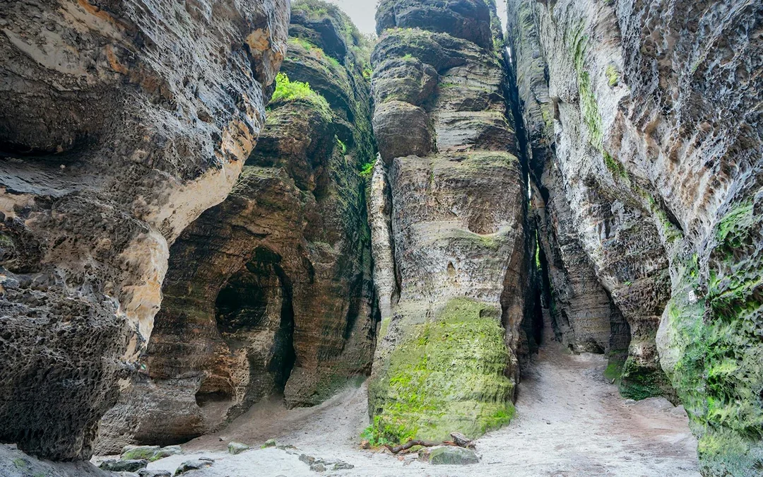 From Prague: Bastei Bridge & Tisa Walls Labyrinth Day Trip Image 6