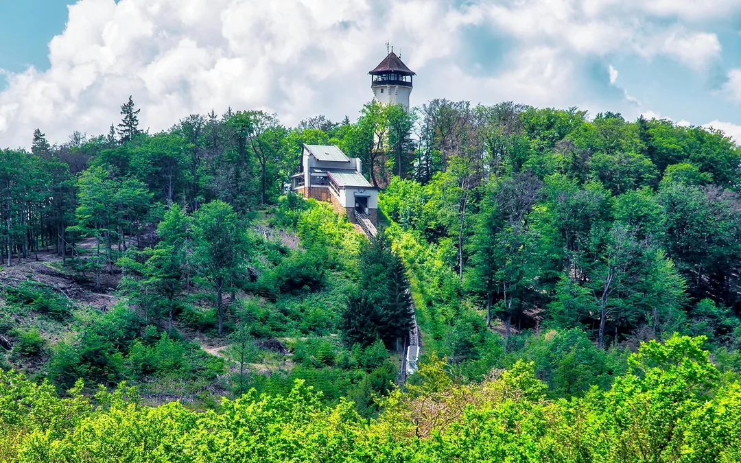 From Prague: Karlovy Vary & Diana Observation Tower Day Trip Image 5