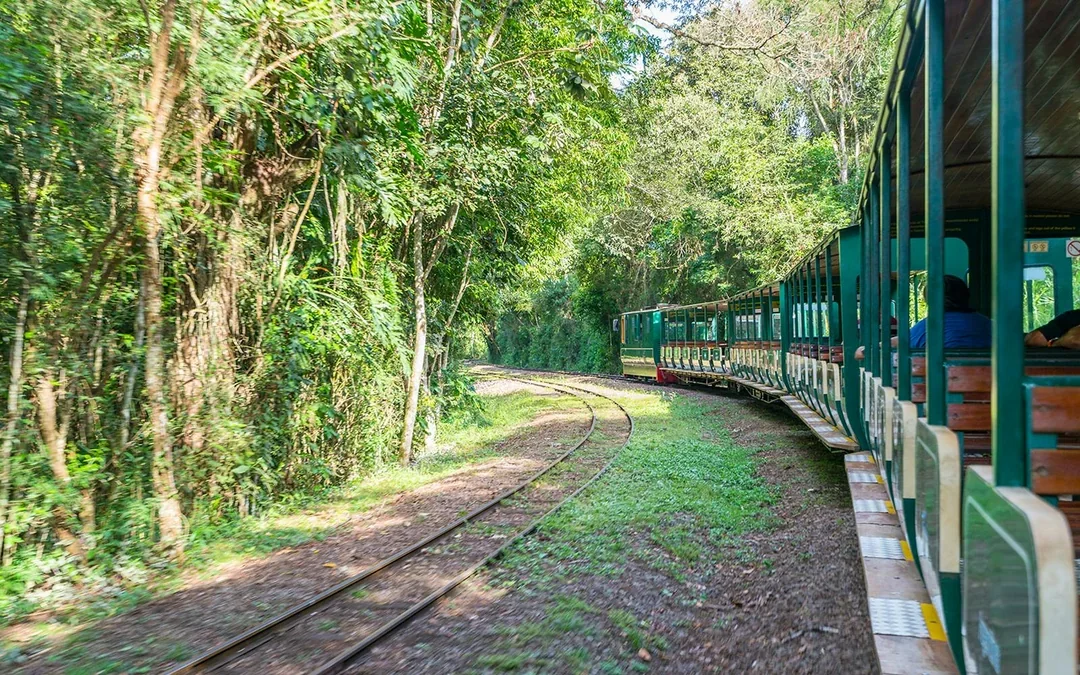 From Puerto Iguazú: Iguazú Falls Tour without Park Entry Image 2