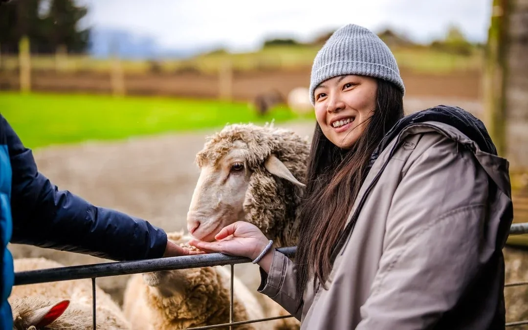 From Queenstown: Milford Sound Coach & Cruise with Farm Tour Image 3