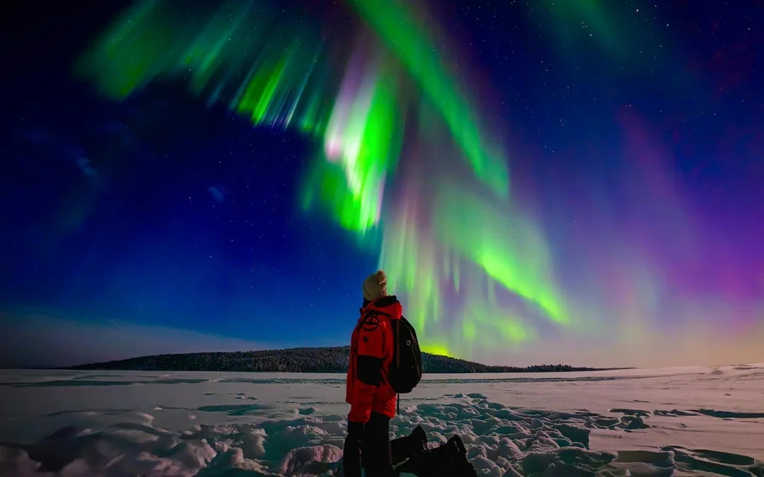 From Rovaniemi: Aurora Pro Photography Expedition Image 1