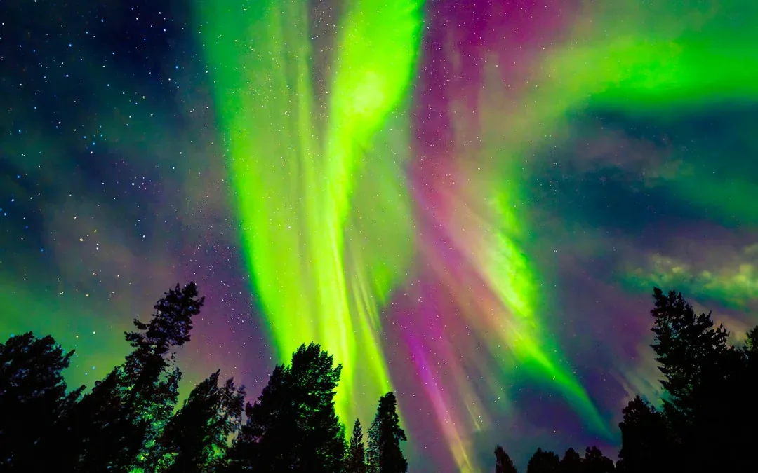 From Rovaniemi: Aurora Pro Photography Expedition Image 3