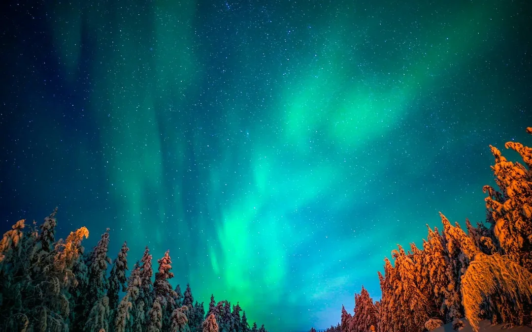 From Rovaniemi: Aurora Pro Photography Expedition Image 9