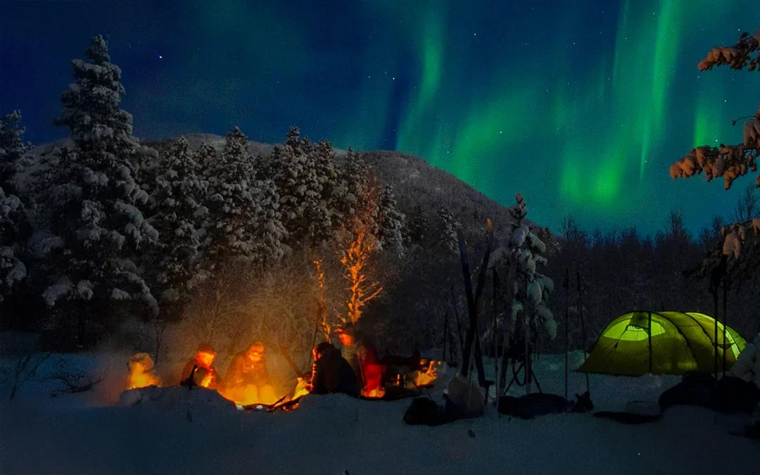 From Rovaniemi: Northern Lights Guided Tour with Lappish Barbecue & Drinks Image 1