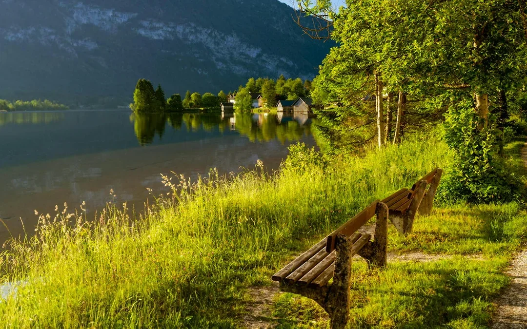 From Salzburg: Guided Half-Day Trip to Hallstatt by Bus Image 10