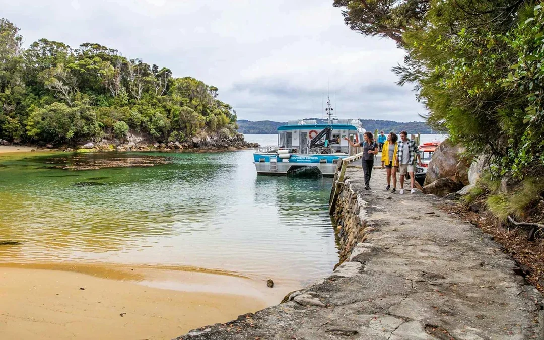 From Stewart Island: Ulva Island Explorer Tour with Paterson Inlet Cruise Image 1