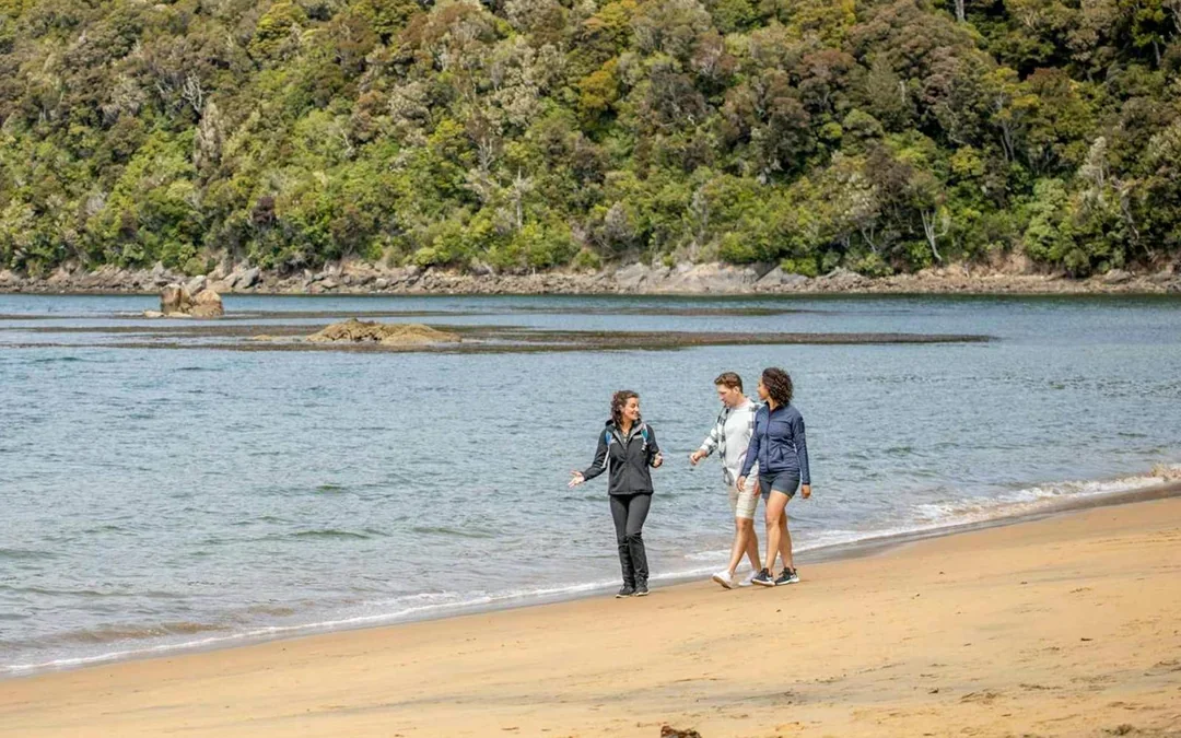 From Stewart Island: Ulva Island Explorer Tour with Paterson Inlet Cruise Image 4