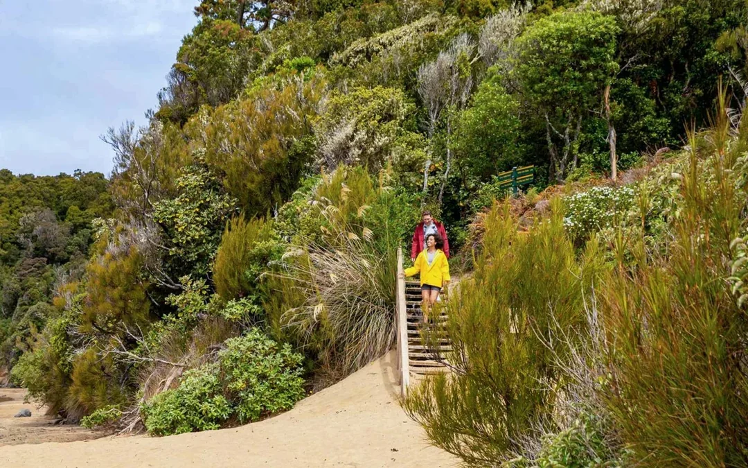 From Stewart Island: Ulva Island Explorer Tour with Paterson Inlet Cruise Image 5